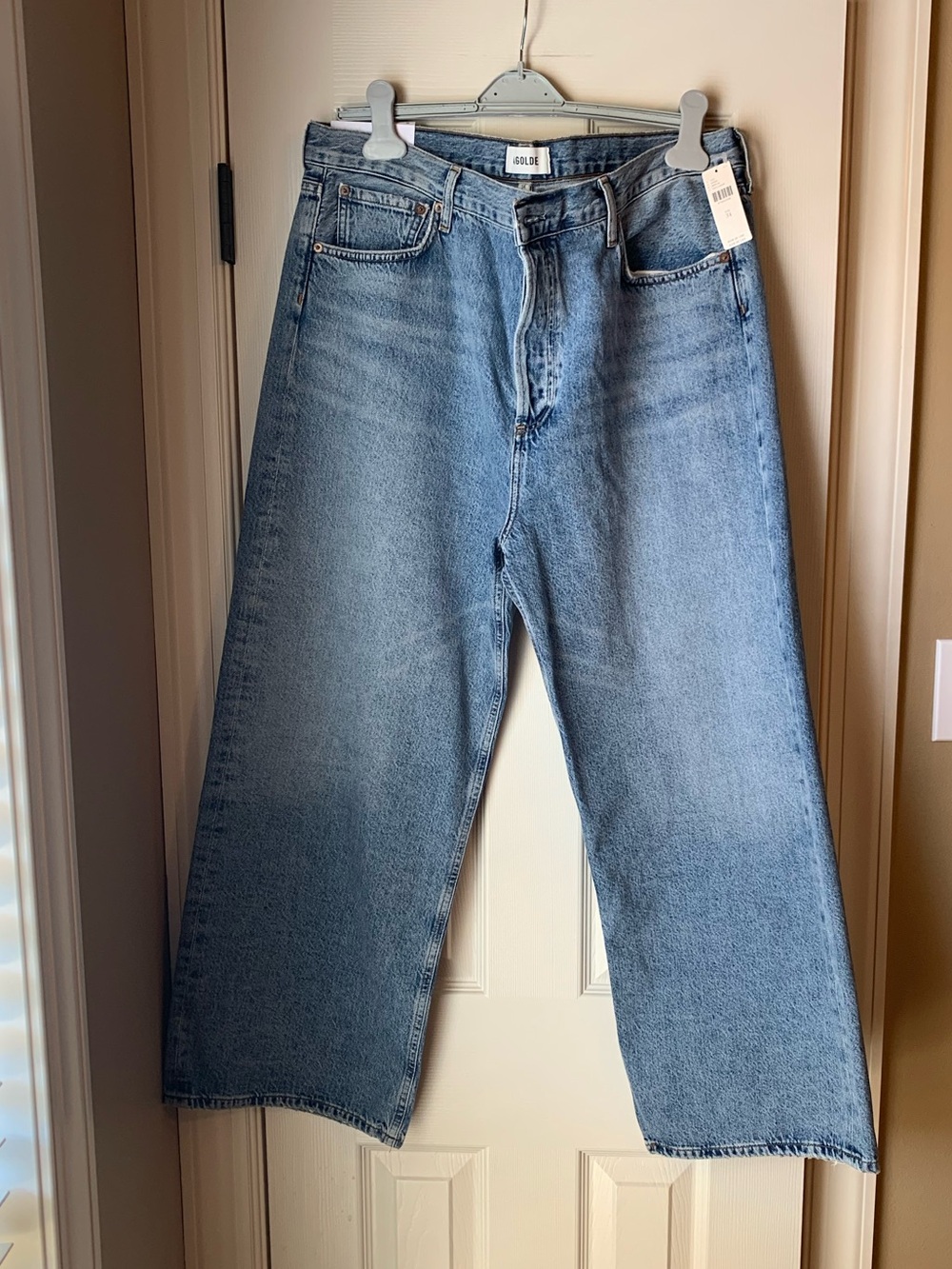 NWT - Agolde - Ren - High Rise Wide Leg - Disclosure - Size 34